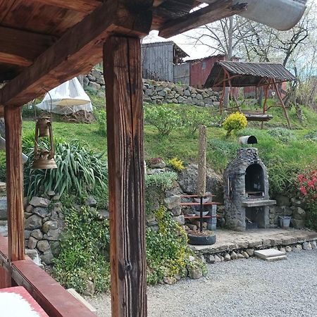 Meselak Villa Ocna de Sus Buitenkant foto