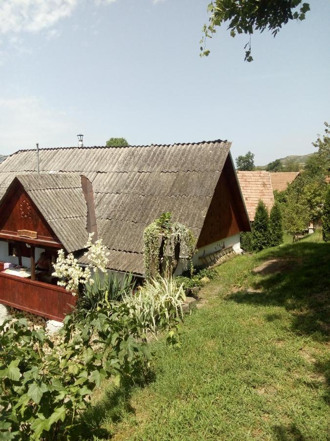 Meselak Villa Ocna de Sus Buitenkant foto