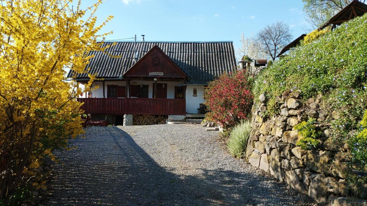 Meselak Villa Ocna de Sus Buitenkant foto