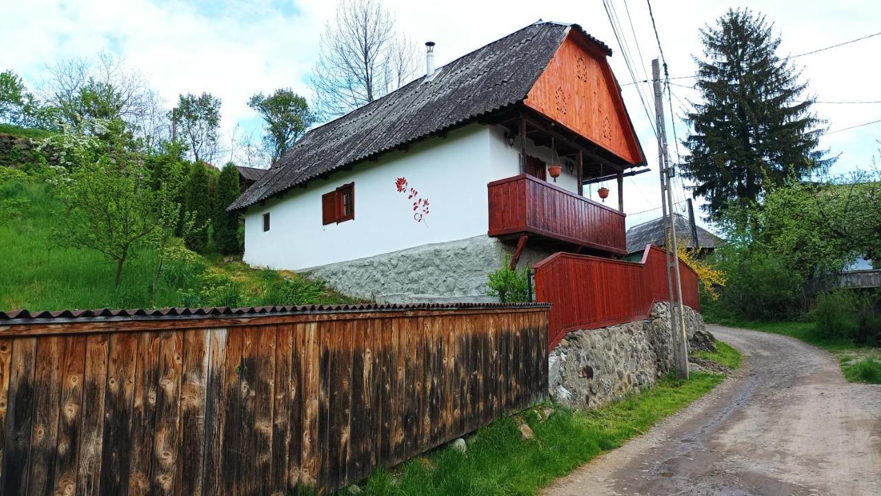 Meselak Villa Ocna de Sus Buitenkant foto